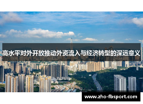 高水平对外开放推动外资流入与经济转型的深远意义
