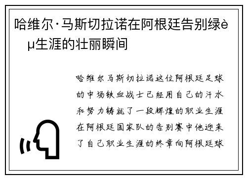 哈维尔·马斯切拉诺在阿根廷告别绿茵生涯的壮丽瞬间